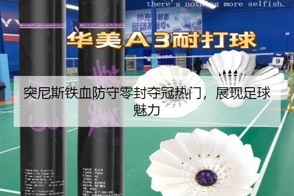 突尼斯铁血防守零封夺冠热门，展现足球魅力